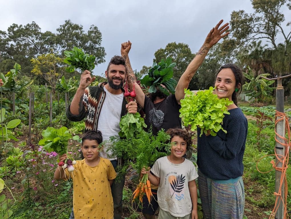 High Valley Dawn Permaculture Farm Stay – Horses Welcome, Rosslyn, QLD (photo 9)