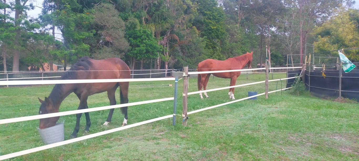 Thumbnail 3 of Short stays for humans and their horses.  Paddock or stable.