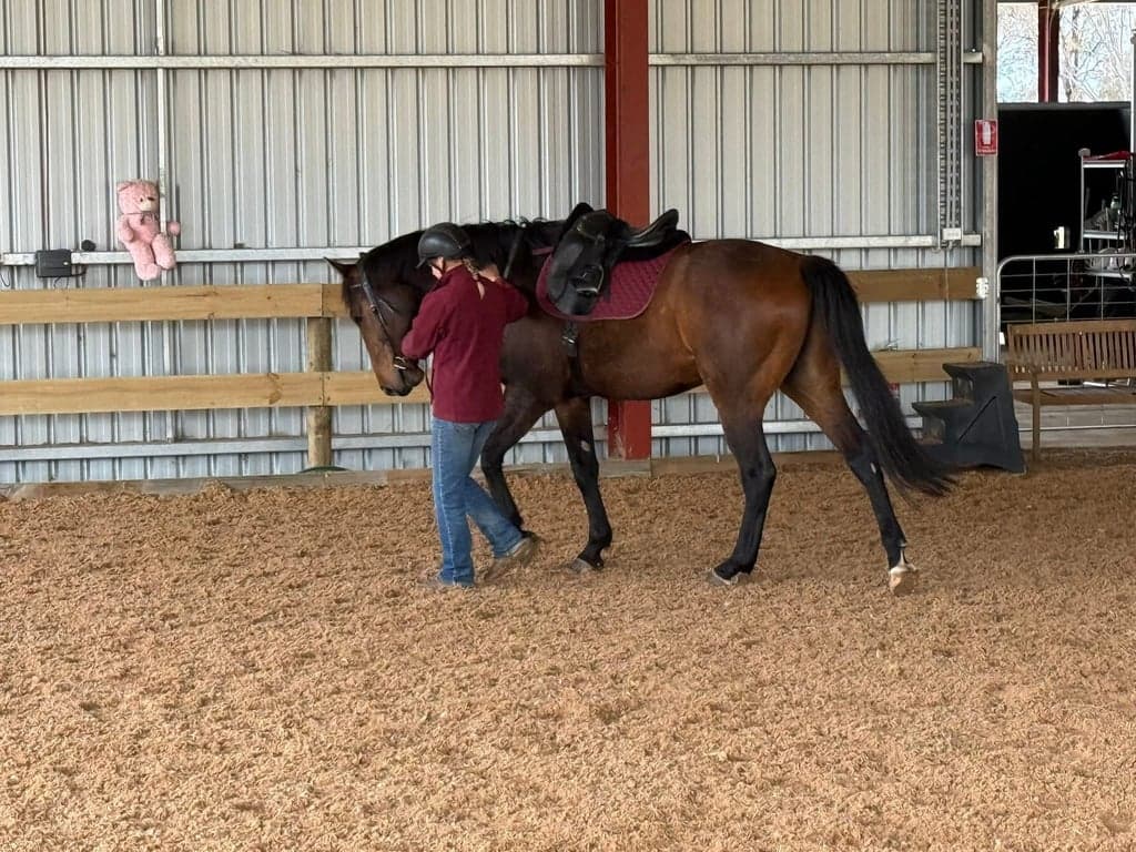 Thumbnail 4 of Equestrian facilities for lessons, clinics or short stays