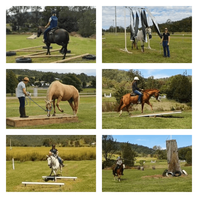 FULL CARE AGISTMENT AVAILABLE WITH FIRST CLASS FACILITIES, Biddaddaba, QLD (photo 3)