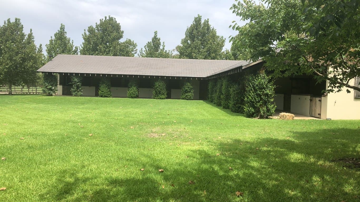 Thumbnail 4 of Luxury Equestrian Property Stay for your Horse