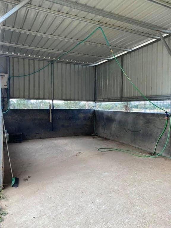Vellara equine full board agistment, Murrumbateman, NSW (photo 2)