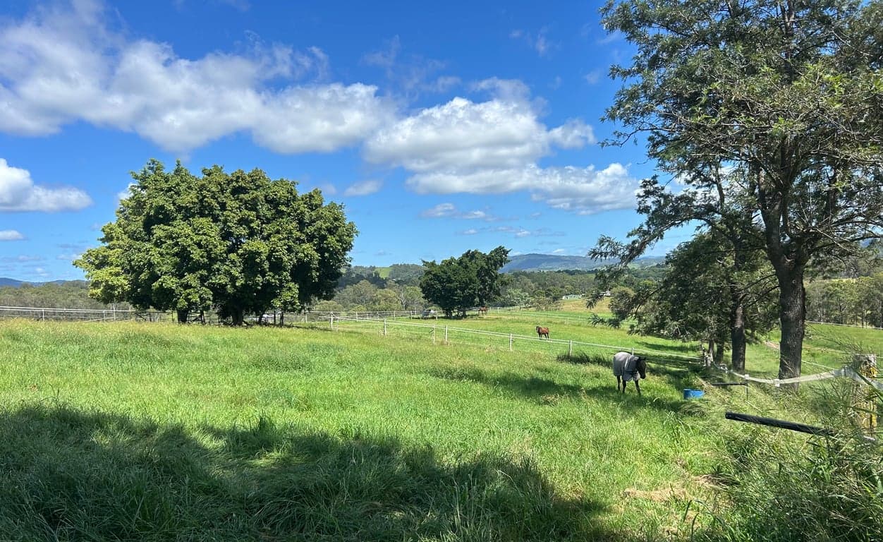 Thumbnail 10 of Kandanga Equestrian Center