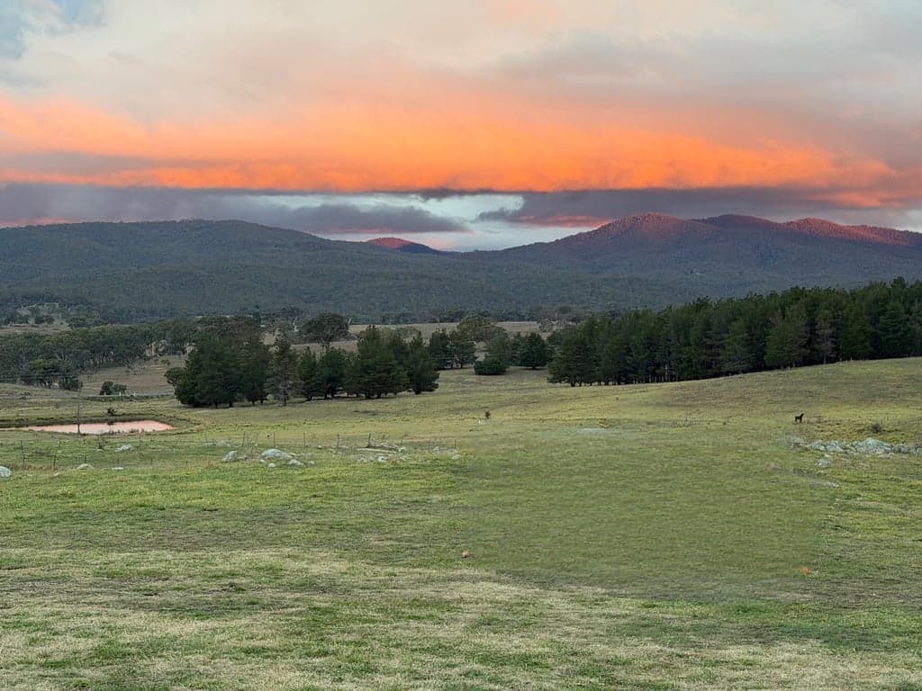 Photo of Horse Stables and Camping