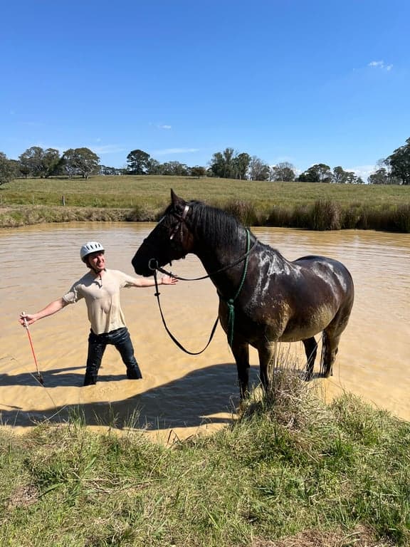 Thumbnail 3 of Holiday with your horse, dog and besties.