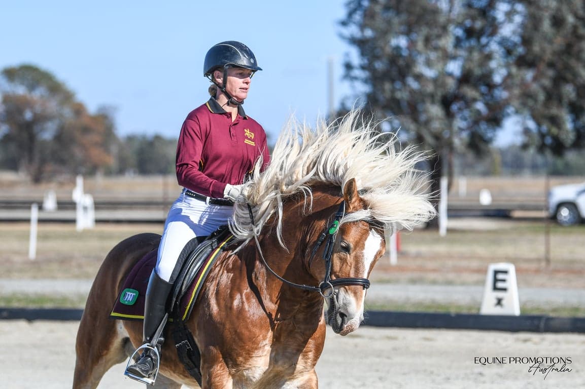 Thumbnail 6 of Equestrian facilities for lessons, clinics or short stays