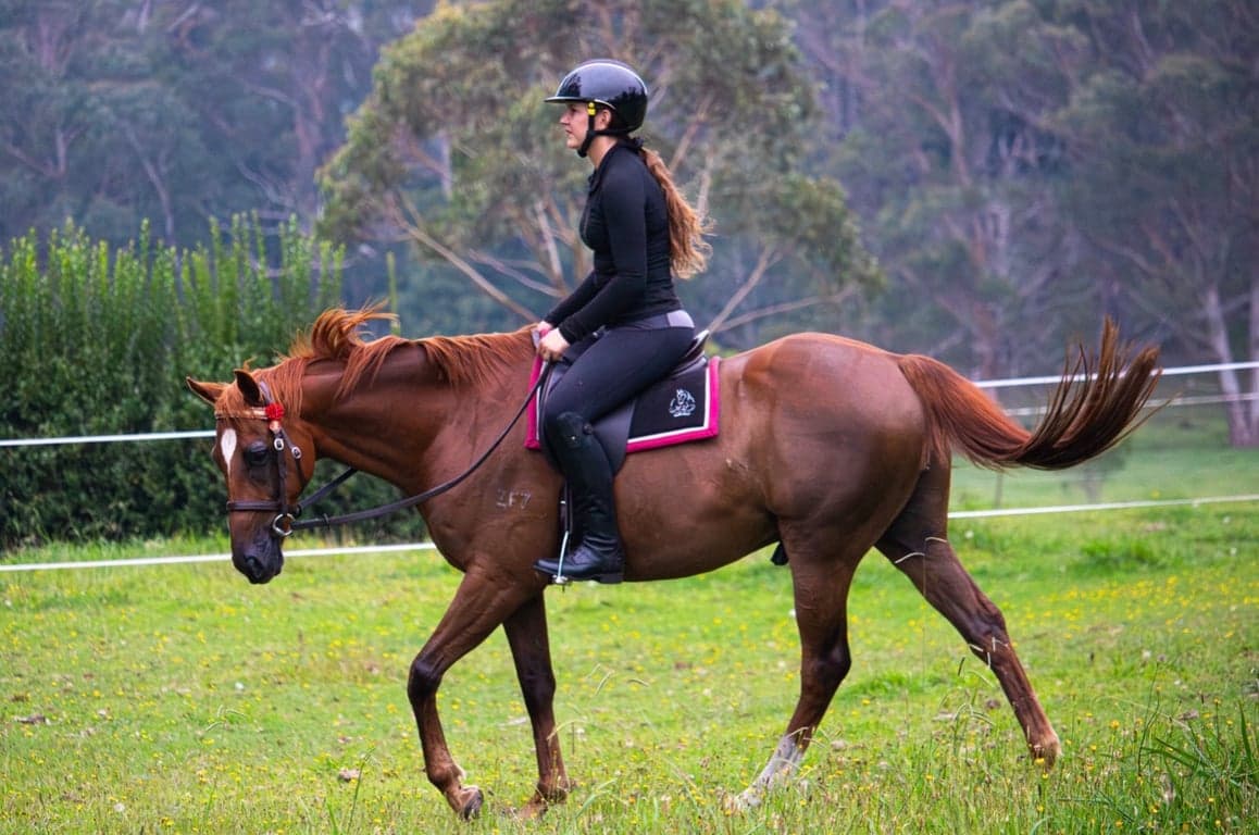 Thumbnail 4 of Stay in our bunkhouse and enjoy a peaceful ride 