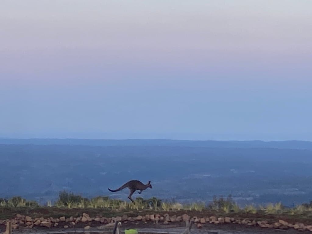 Thumbnail 6 of Cabin and Horse Stay on the Escarpment