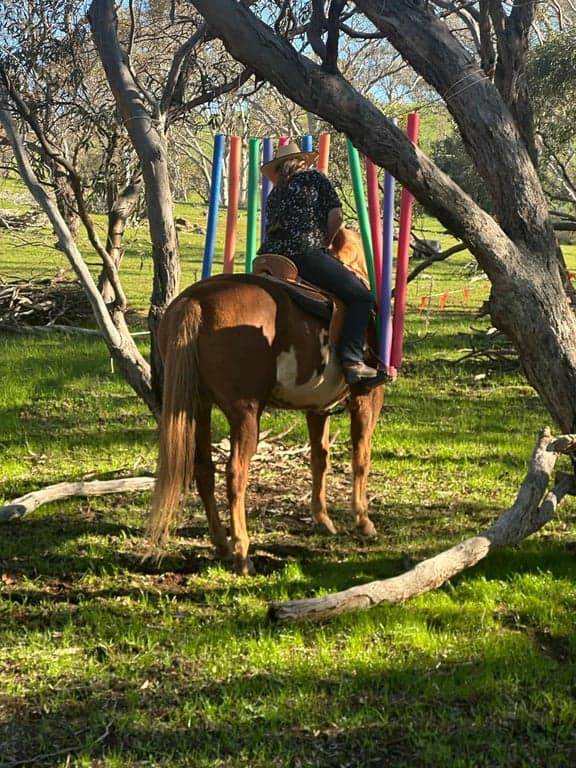 Thumbnail 3 of Short stay holiday with your horse
traveling overnight stays