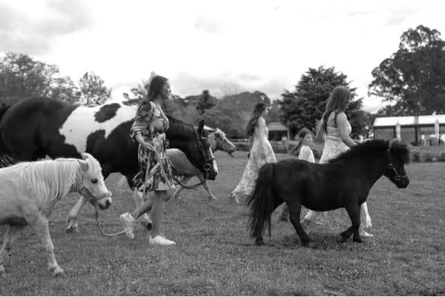 Thumbnail 10 of Riding lessons for all ages and abilities