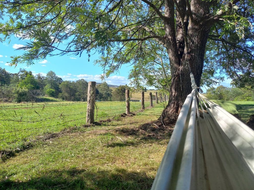 Farmstay in benarkin, Benarkin North, QLD (photo 7)