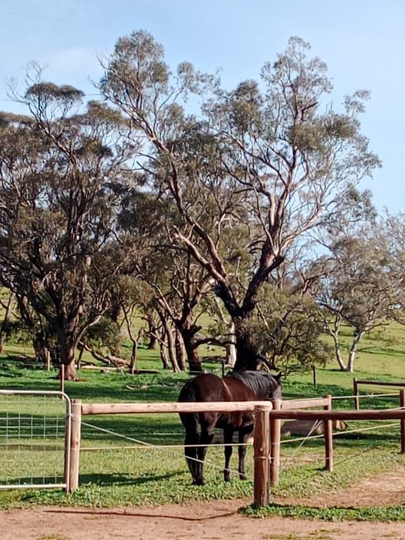 Thumbnail 2 of Short stay holiday with your horse
traveling overnight stays