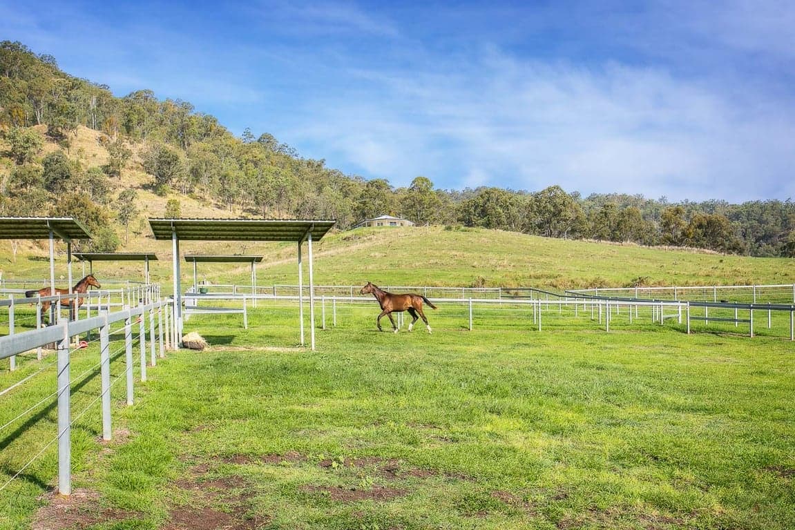 FULL CARE AGISTMENT AVAILABLE WITH FIRST CLASS FACILITIES, Biddaddaba, QLD (photo 7)