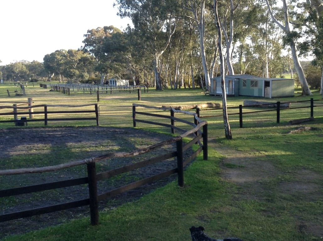 Thumbnail 3 of Campsite amenities + large overnight yarding for horses