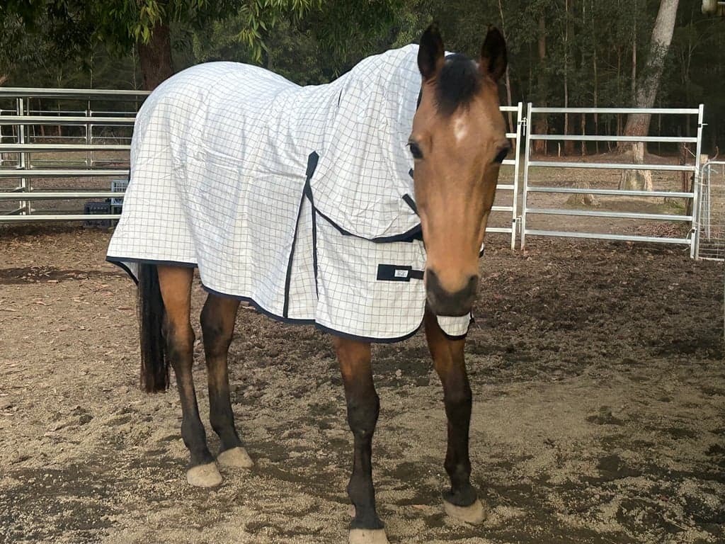 Thumbnail 3 of Country Haven horse camping