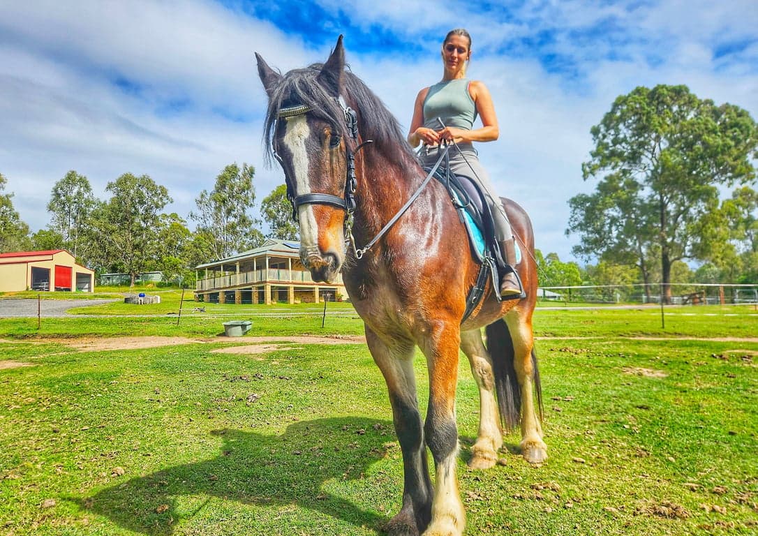 Riding Lessons at Diamonds Royal, Glenlogan, QLD (photo 2)