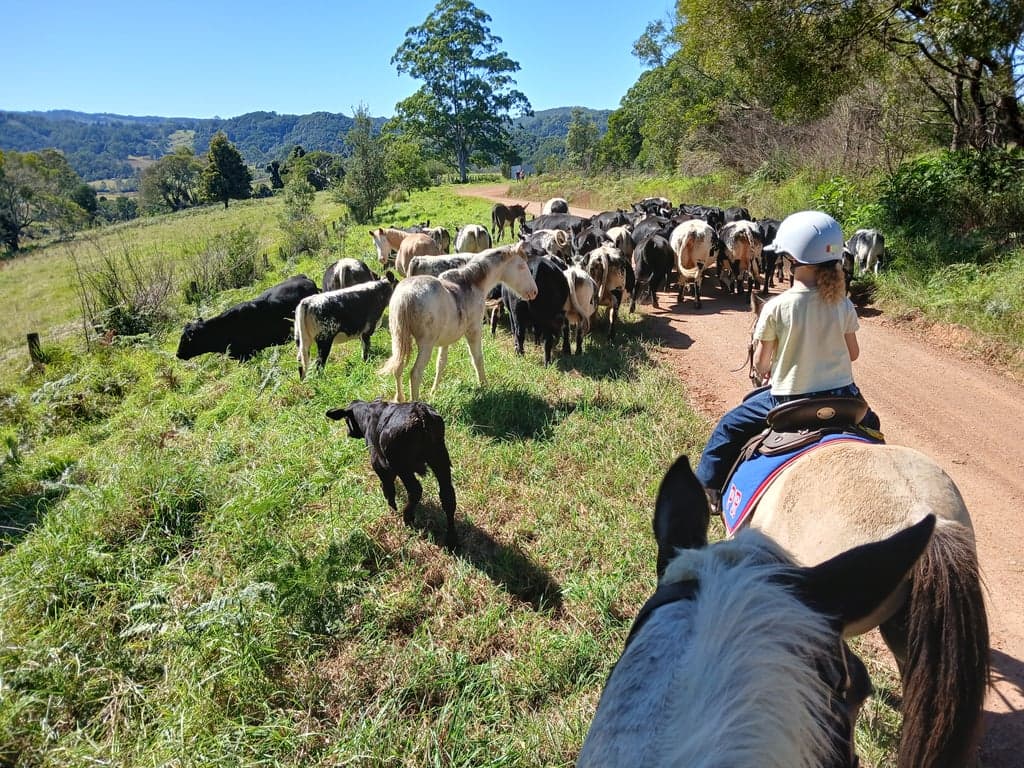 Photo of Homeville Horse Camp
Farmstay