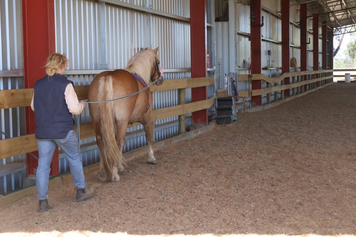 Thumbnail 2 of Equestrian facilities for lessons, clinics or short stays