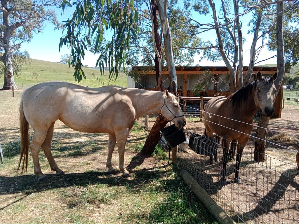Thumbnail 5 of Short stay holiday with your horse
traveling overnight stays