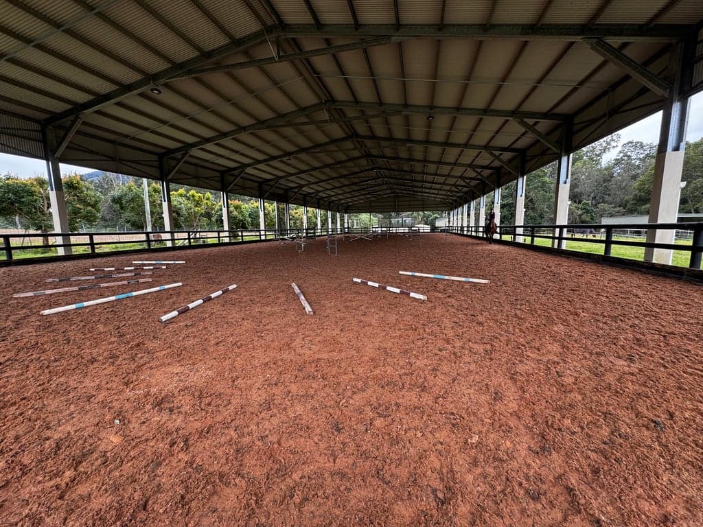 Thumbnail 3 of Showjumping, flatwork or low level dressage.