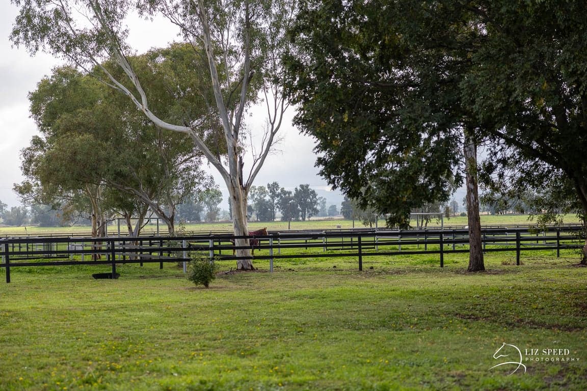 Thumbnail 2 of The Bunkhouse at Kingswood Ranch, Farm and Horse Stay