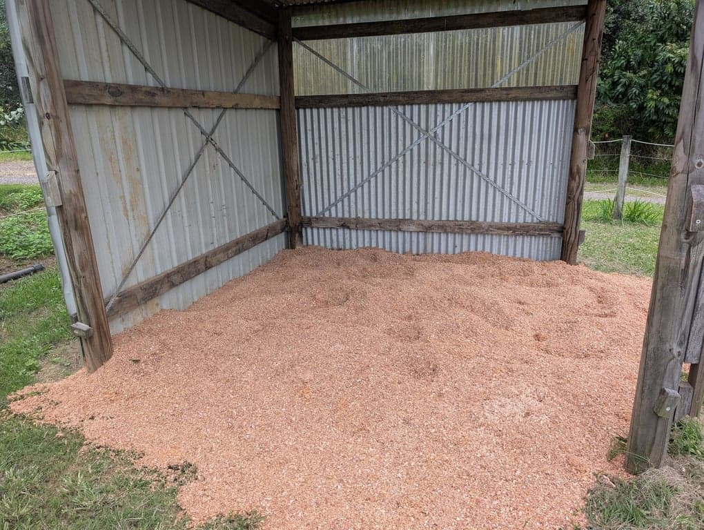 Horse Agistment at Private paddock available NOW for 1 horse, Forest Glen, QLD (photo 1)