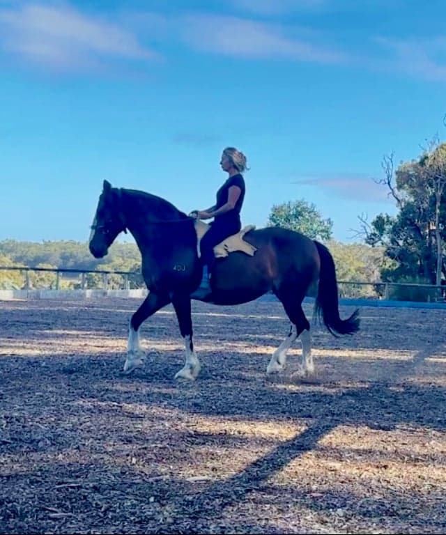 Thumbnail 7 of A horse first accomodation