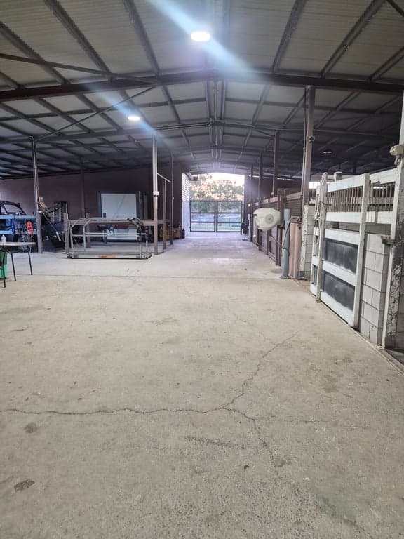 🐴🌿 HORSE & RIDER FARM STAY – HAYNE'S STABLES 🌿🐴, Black River, QLD (photo 5)