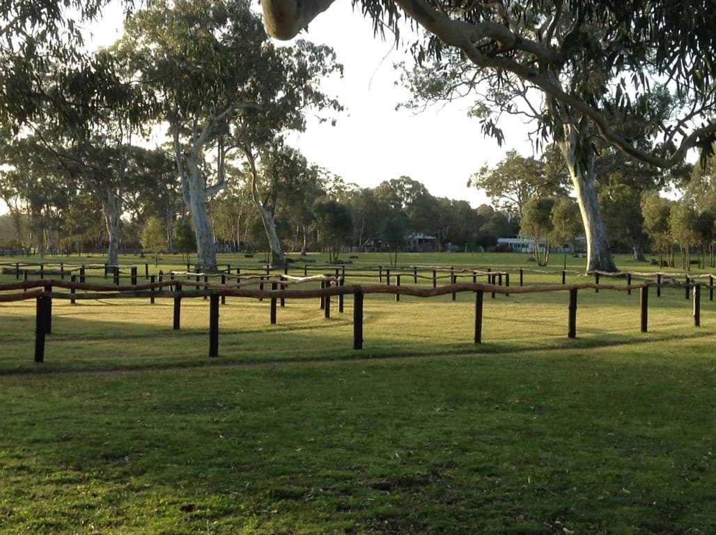 Thumbnail 10 of Holiday with your horse! Accom option #2