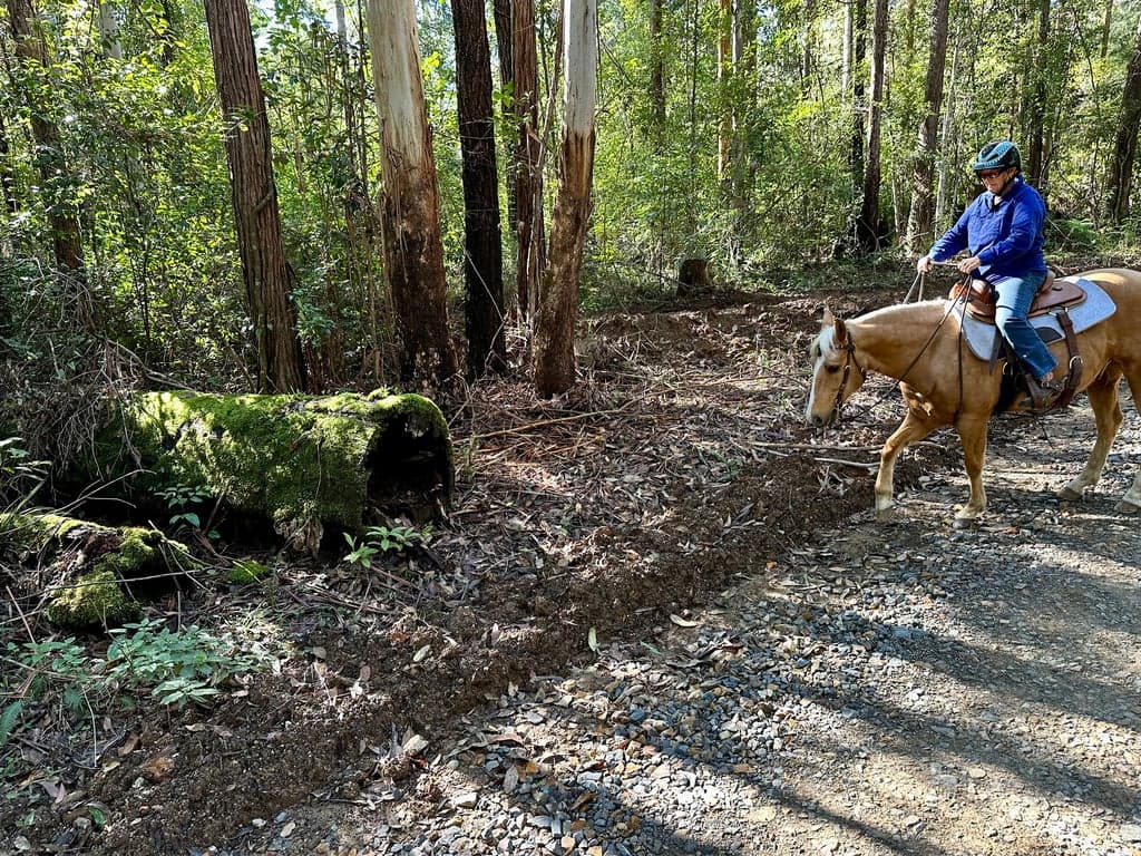 Thumbnail 8 of Butterfly Cabins overnight or holiday stay with your horses