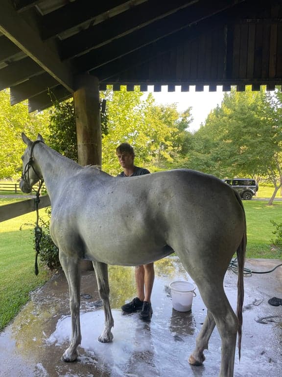 Thumbnail 3 of Luxury Equestrian Property Stay for your Horse
