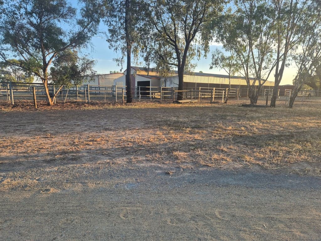 Thumbnail 6 of Quiet, calm environment for horse & human stays