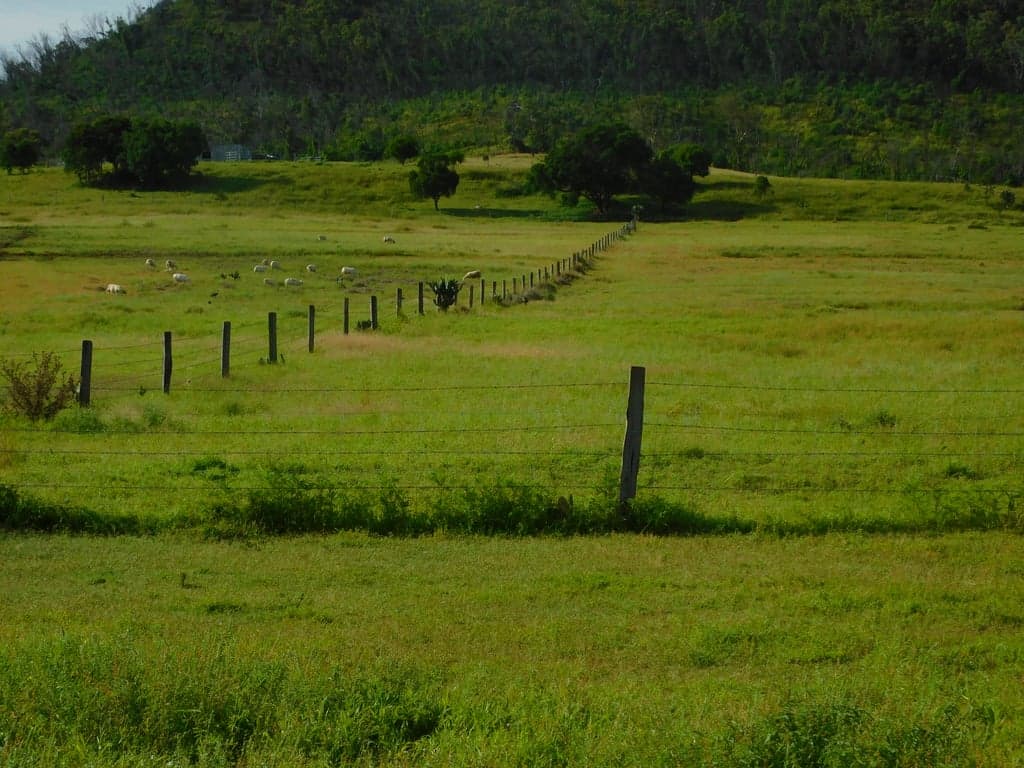 Thumbnail 7 of Bring your own horse, access to wonderful trail rides
