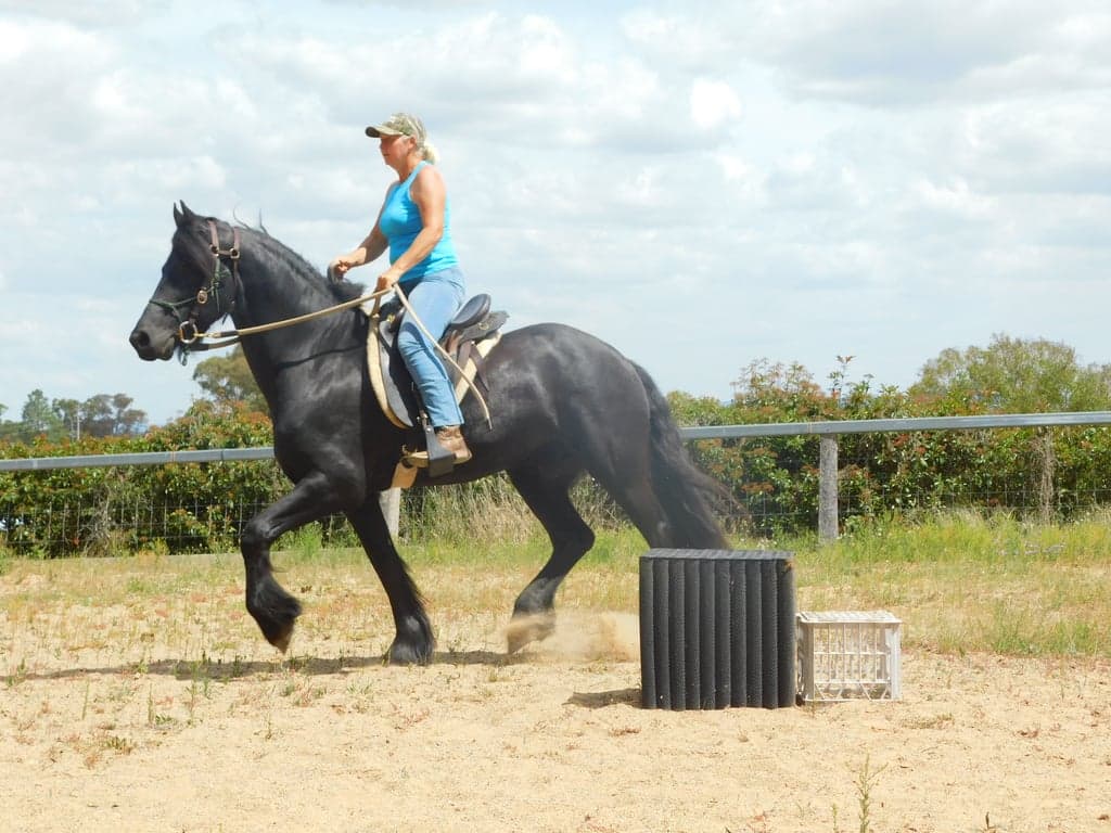 Thumbnail 9 of Bring your own horse, access to wonderful trail rides