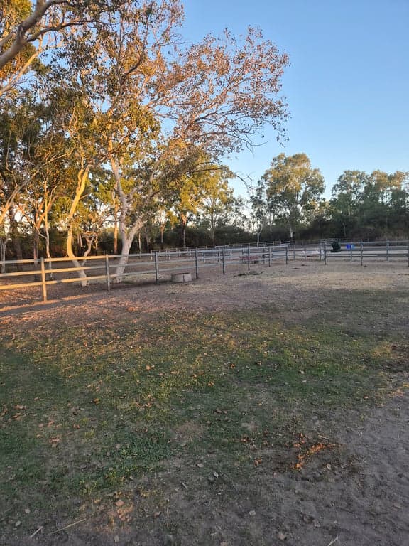 🐴🌿 HORSE & RIDER FARM STAY – HAYNE'S STABLES 🌿🐴, Black River, QLD (photo 2)