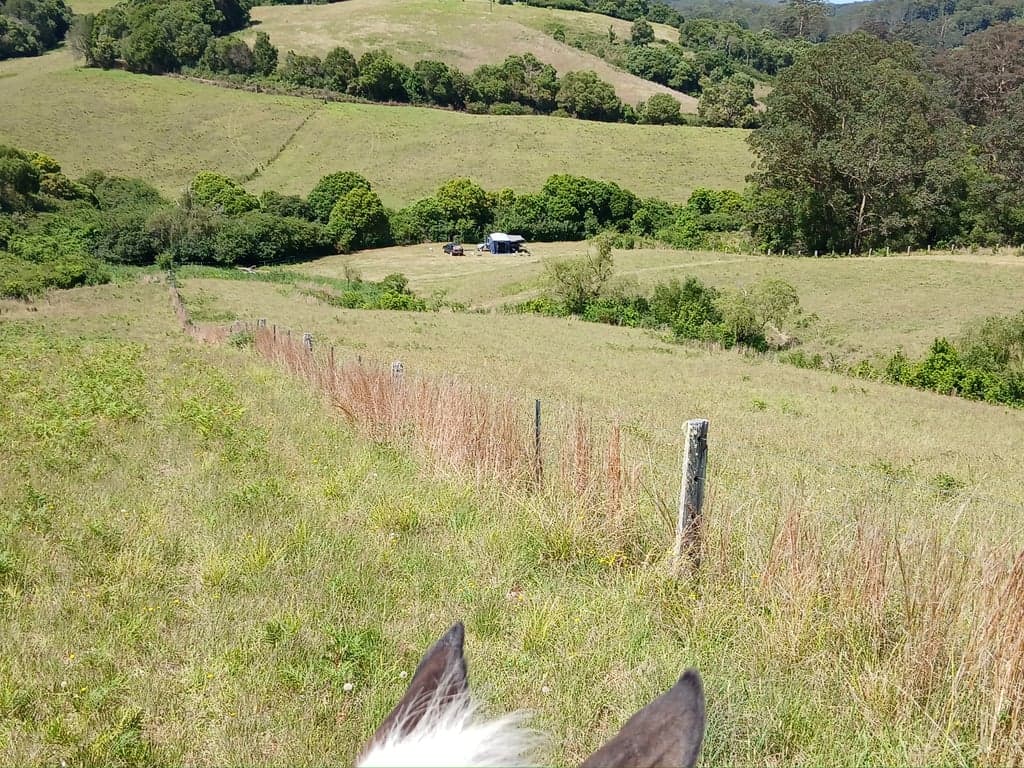 Thumbnail 3 of Homeville Horse Camp
Farmstay