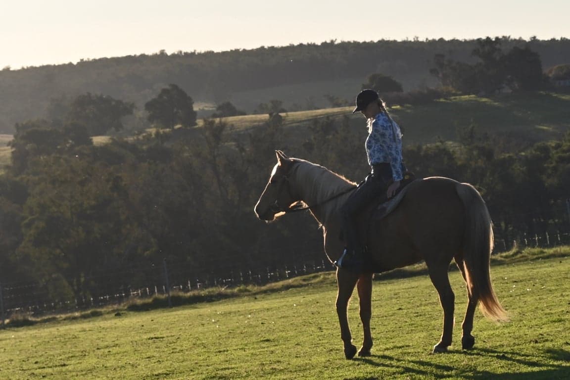 Thumbnail 10 of Dalmore Farm Horse Escapes