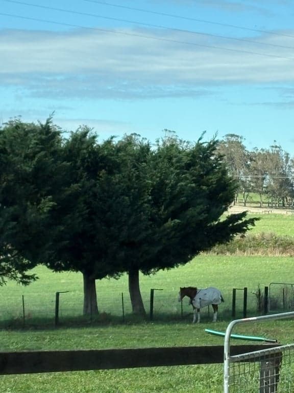 Thumbnail 8 of Farmstays reimagined. Boutique getaways &
Horsemanship stays