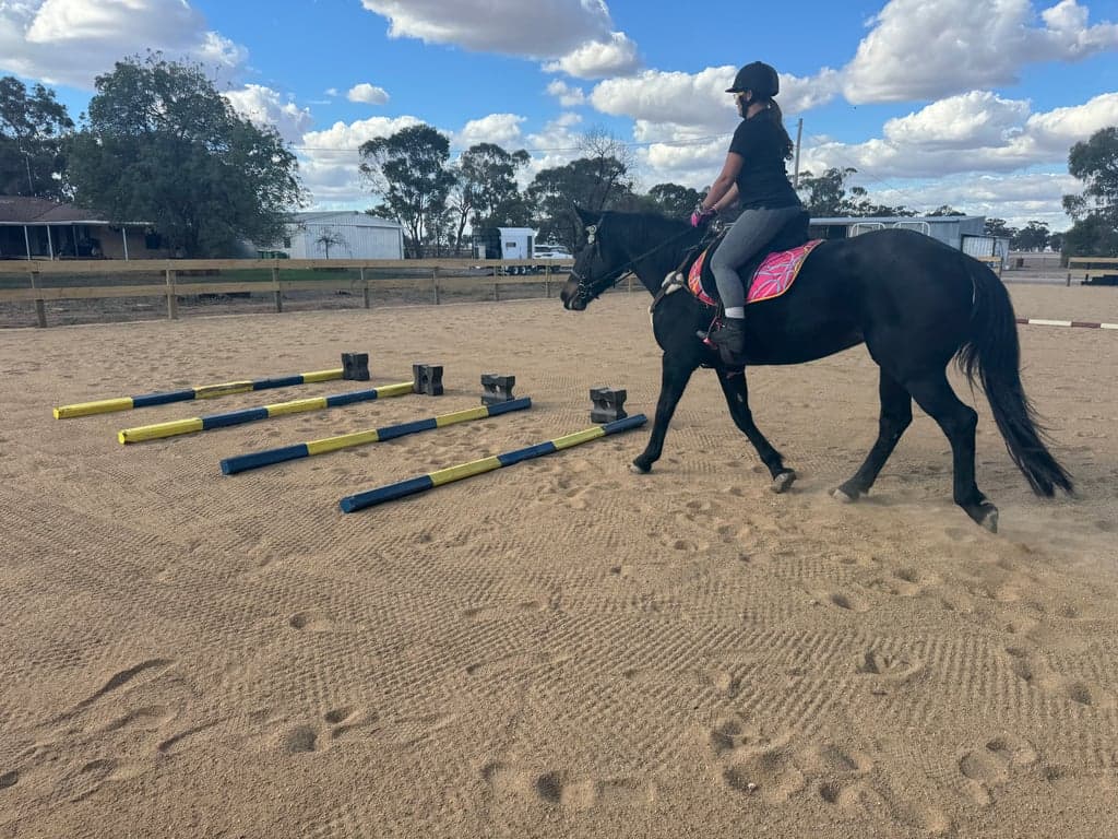 Thumbnail 7 of Equestrian facilities for lessons, clinics or short stays