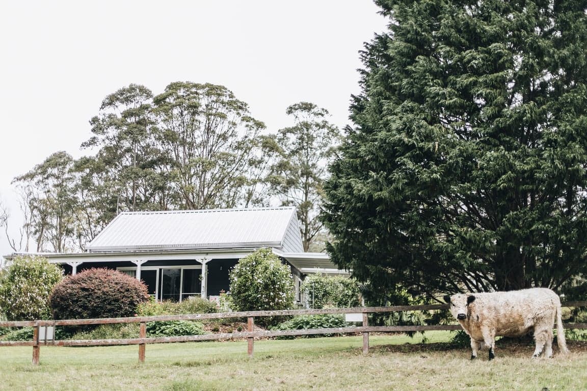Thumbnail 3 of Stylish cottage accommodation + horse paddock/stable.