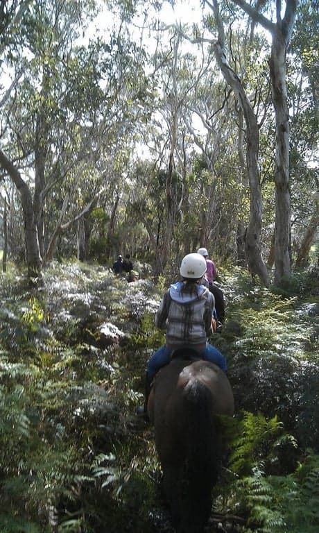 Thumbnail 9 of Rm.3 family room bunkhouse horse vacation.