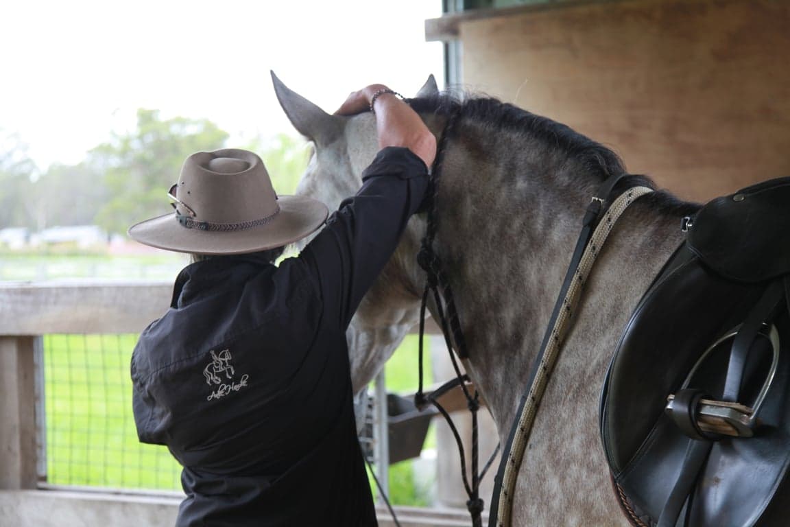Photo of Balanced Lessons for Horse & Rider