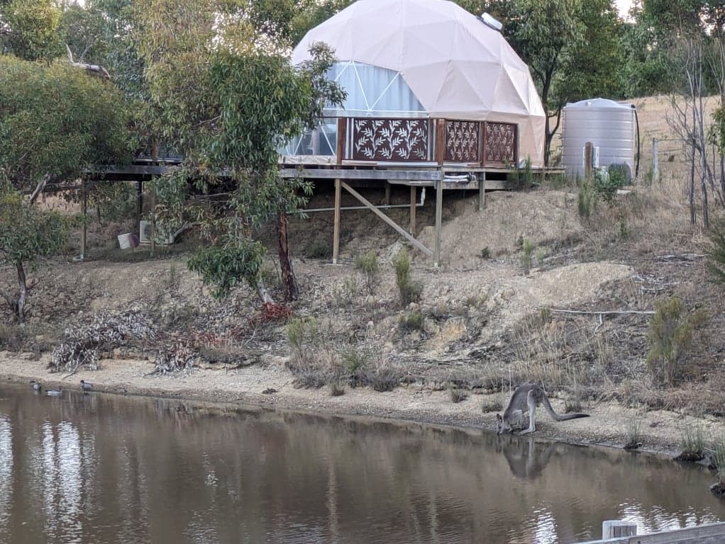 Thumbnail 2 of Glamping with nearby trail rides