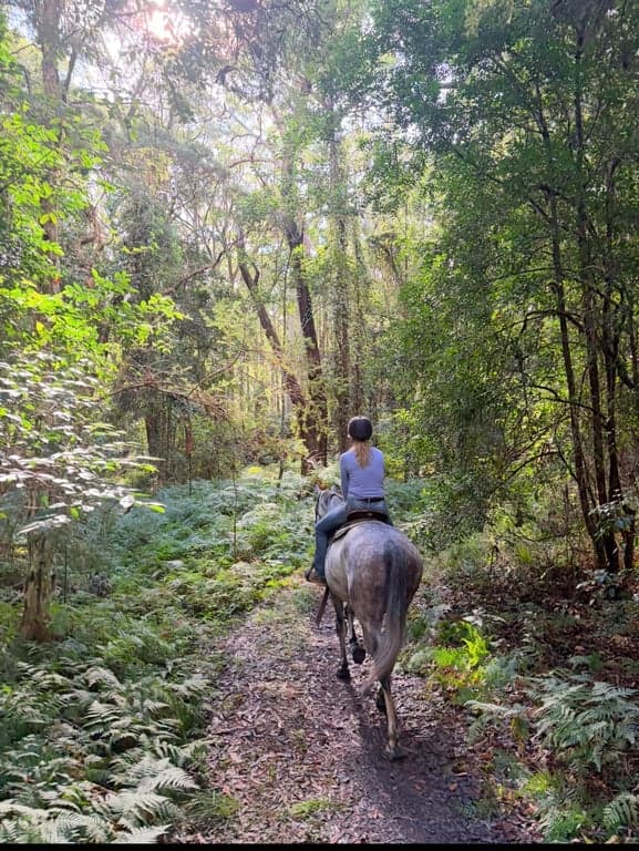 Private Trail Rides, Awaba, NSW (photo 1)