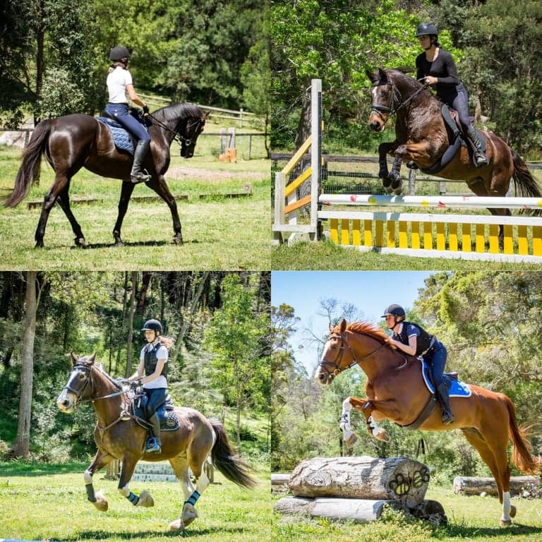 Thumbnail 10 of Stay and play with your horse