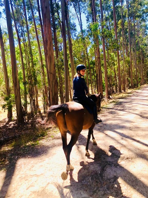 Farm Stay at Wine, horses, beaches, forests, sunsets...heaven on earth!, McLaren Vale, SA (photo 1)