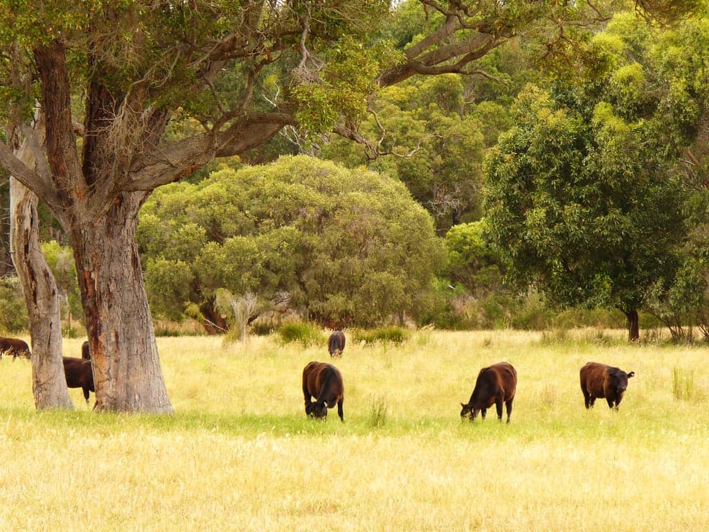 Photo of SAFE FOR HORSES AND COSY ACCOMMODATION FOR THEIR RIDERS