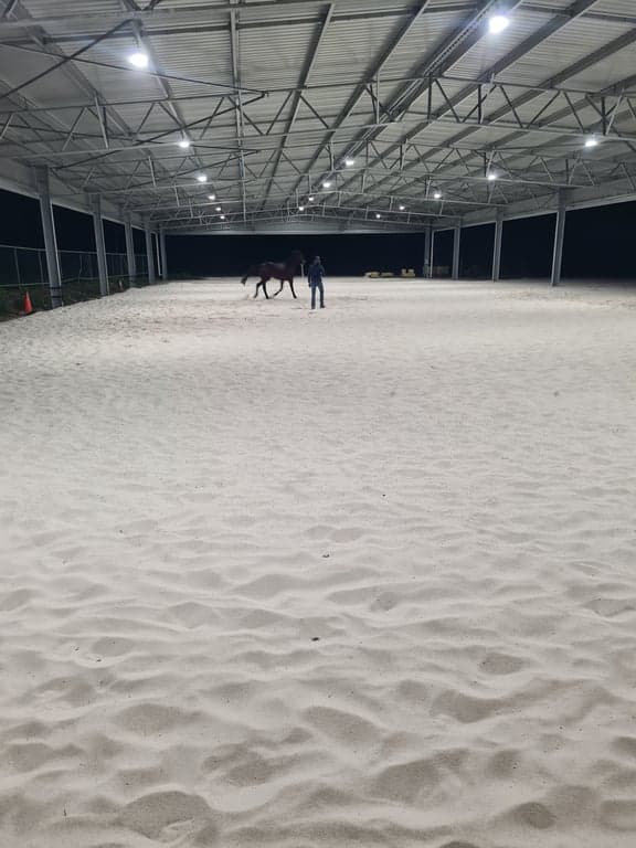 Photo of Equestrian 5 star horse riding facility.