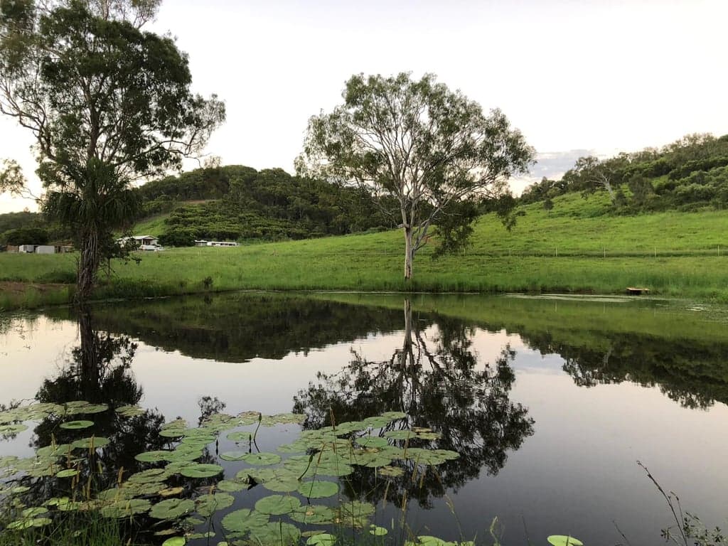 High Valley Dawn Permaculture Farm Stay – Horses Welcome, Rosslyn, QLD (photo 5)