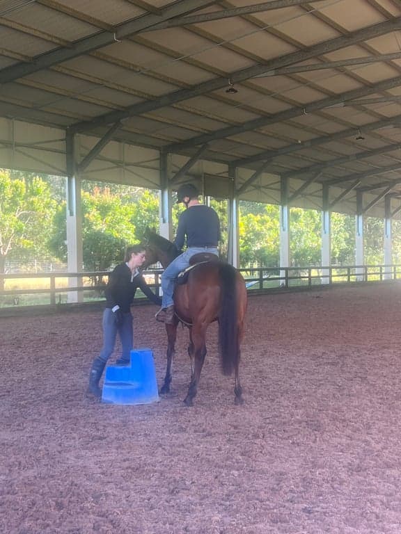 Thumbnail 2 of Showjumping, flatwork or low level dressage.
